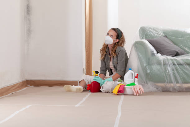 Reliable Basement Mold Removal contractor in Raritan, NJ by WQB Mold Removal